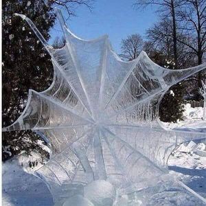 Meet your Posher, Rhonda